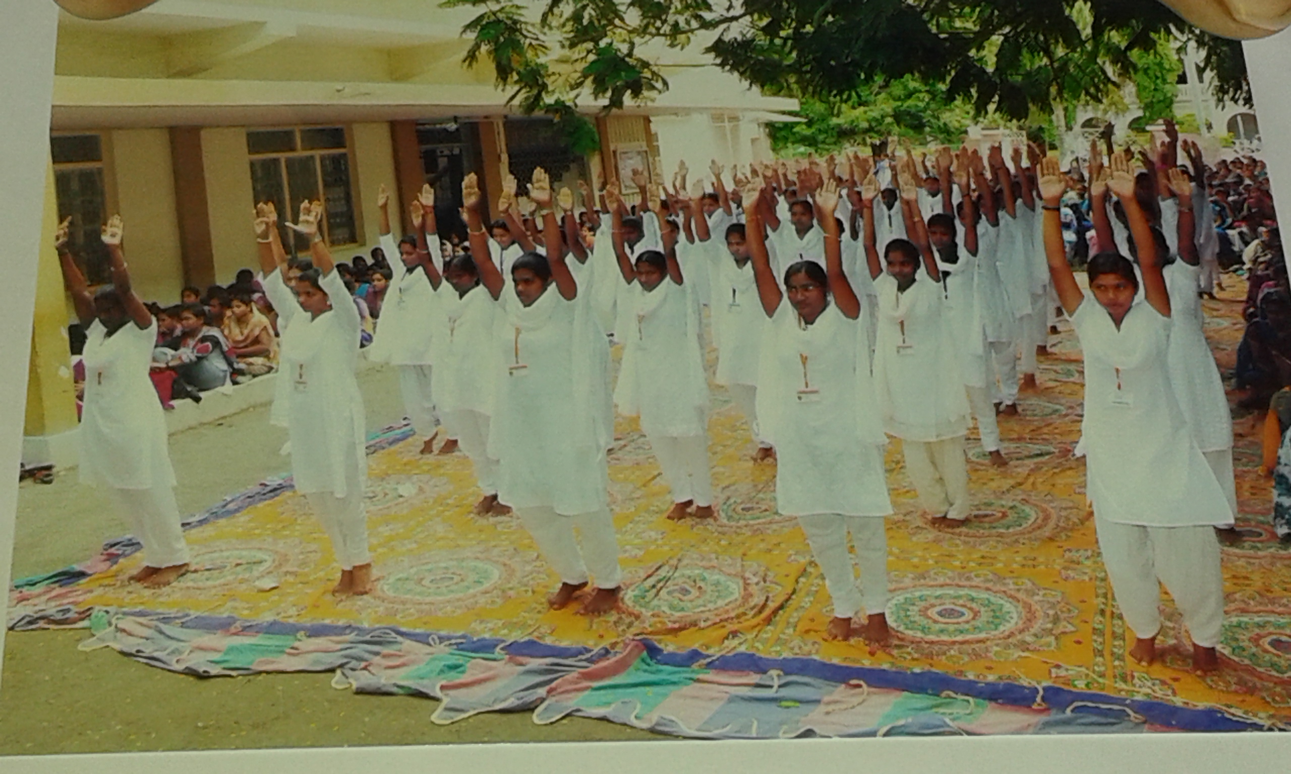 Yoga Day 2015 TO 2016